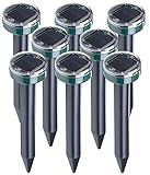 Efficacité sur 700 m² pour chaque piquet