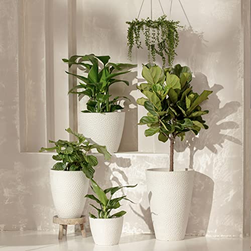 Lajoliemuseoutdoorplantersindoorflowerpots94inchplanterpotcontainerswhiteplantpotshoneycomb Urban Country Home Decor La jolie muse outdoor planters indoor flower pots 94 inch planter pot containers white plant potshoneycomb urban country home decor