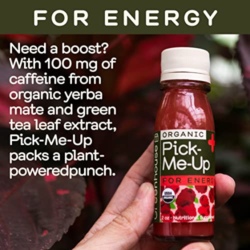 Greenhouse Juice Organic Energy Shot Pick-Me-Up Wellness Shot with Yerba Mate + Green Tea & Caffeine Energy Immunity Shots Vegan & Gluten-Free (2 Oz, Pack of 12)
