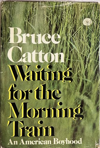 Waiting for the Morning Train 1st edition by Br... B011ME9XXW Book Cover