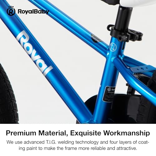Royalbaby Freestyle 16 Inch Bike