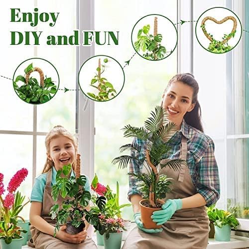 Image of Garden Art Premium 24 inch Moss Coir Pole | Stackable & Bendable Plant Support Stick for Monstera, Money Plant & Climbers | Strong Indoor Outdoor Plant Extension to Grow Upwards GABCP-60 (Pack of 1)