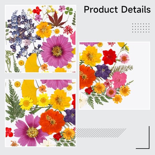 Flores prensadas secas para manualidades, kit de 50 piezas miniatura 2