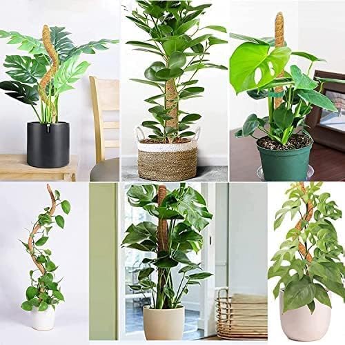 Image of Garden Art 90cm Tall Bendable Moss Stick /Coir Pole for Plants Monstera, Coco Coir Moss Poles for Climbing Plants | Plant Support Extension to Grow Upwards GABCP-90 (90 cm Pack of 1)