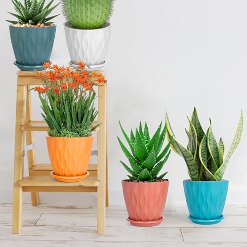 Pots de fleurs d'intérieur avec trous de drainage et soucoupes lot de 5