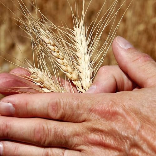 Oraci&oacute;n para el martes 20 de enero del 2026