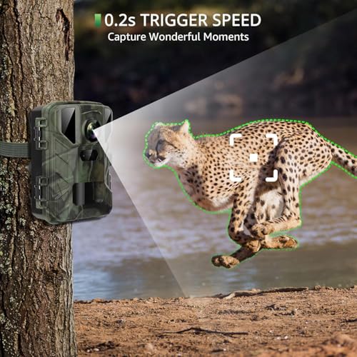 VanBangTec Mini Wildkamera 4K 50MP, Wildtierkamera mit Nachtsicht Bewegungsmelder 850 IR LEDs, 0,2s Schnelle Trigger, Wasserdicht Nachtsichtkamera mit 32G Speicherkarte, Jagdkamera für Wildbeobachtung