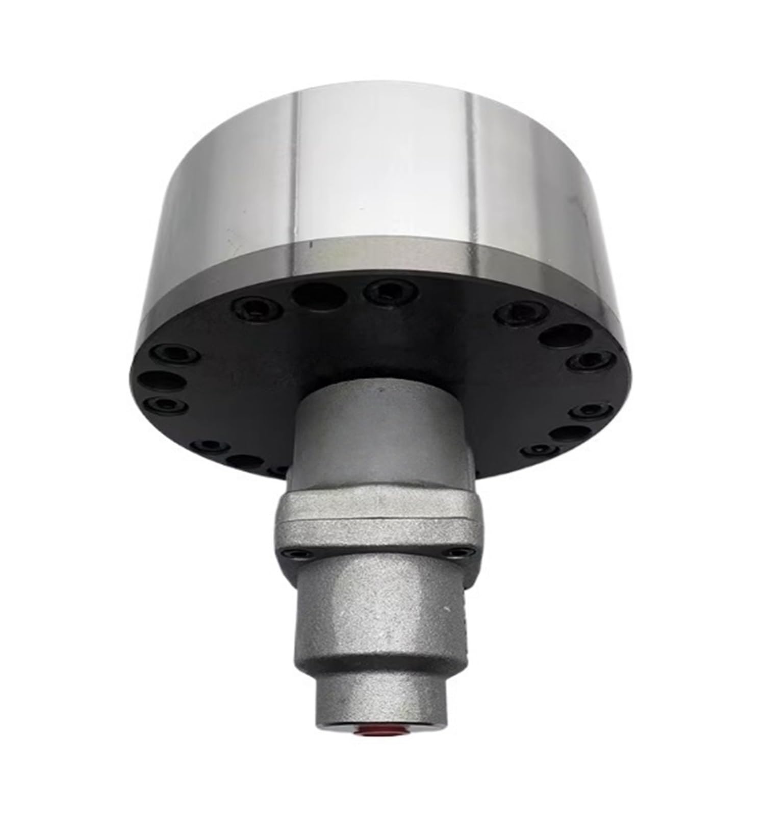 Valvola di ritegno Cilindro idraulico rotativo riempito d'acqua RL-125