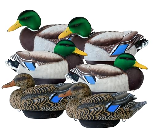 Flocked Mallard Duck Decoys by Heyday – Ultra-Light 100% HydroFoam | Durable, Realistic Flocked Design | 6 Pack of Duck Hunting Decoys