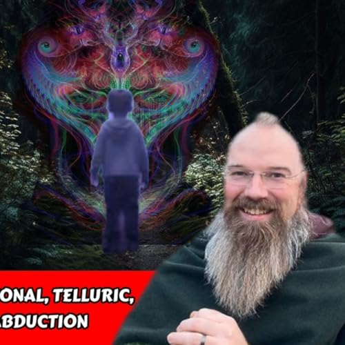 Page de couverture de Beings Beyond: Interdimensional, Telluric, Demons & Fae - Human Abduction | Phoenix Aurelius