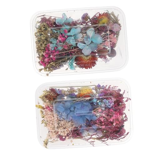 Flores secas mini para manualidades en caja miniatura 1