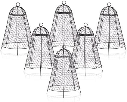 Garden Cloche Plant Protectors from Animals Chicken Wire Cloche Dome for Plants with Thick Rustproof Sturdy Protector Cage To Protect Plants from Rabbits Deer Set of 6 Plant Cloche 20in Large 12in Dia