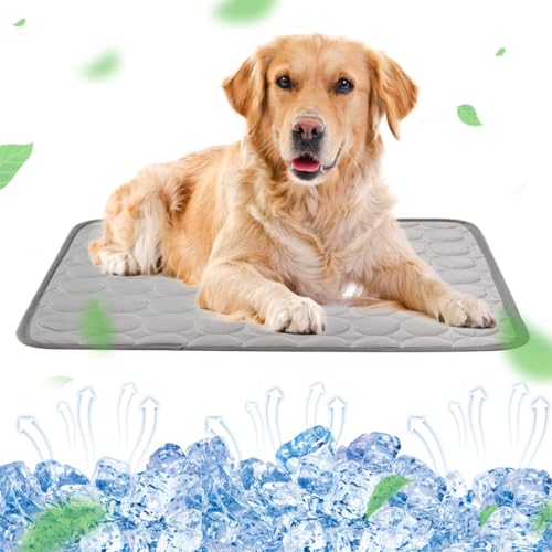 RANJIMA Kühlmatte für Hunde Groß, Selbstkühlend Hundematte 100 * 70cm Kühldecke für Hunde, Ungiftig Waschbar Hund Kühlkissen Hundekühlmatte XL für Drinnen, Draußen und Auto (Grau, 100x70cm)