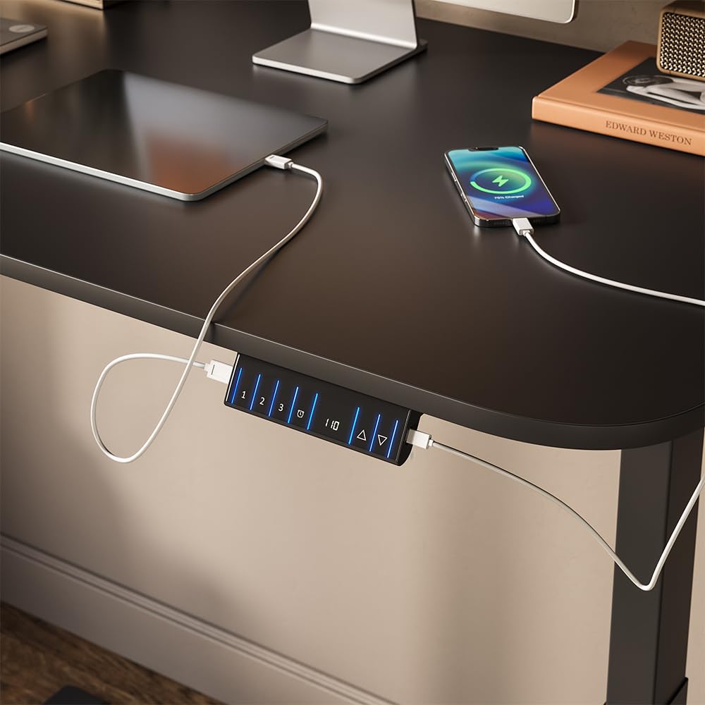 Vicco Scrivania Elevate, Nero/Antracite, 120 x 70 cm | 2 motori, adatto all'uso come postazione di lavoro o scrivania per computer