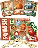 ZenGreens® - Kit de graines de courge bio - 6 variétés pour une culture facile dans le jardin, sur le balcon ou dans une jardinière surélevée - Semences légumes