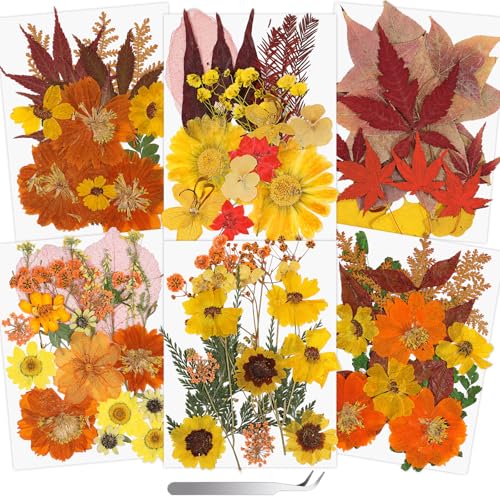 Image of Real Dried Pressed Flowers for Crafts, 100+ PCS Fall Dried Flowers Leaves Nature Flowers Florals Set with Tweezer for Resin Jewelry Making Thanksgiving DIY Candle Scrapbooking Gift (Orange, Yellow)