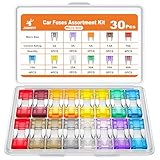 JOREST Ensemble de 30 fusibles mini pour voiture, fusibles automobile Truck/RV/Camion/Moto (2A 3A 5A 7.5A 10A 15A 20A 25A 30A 35A 40A)