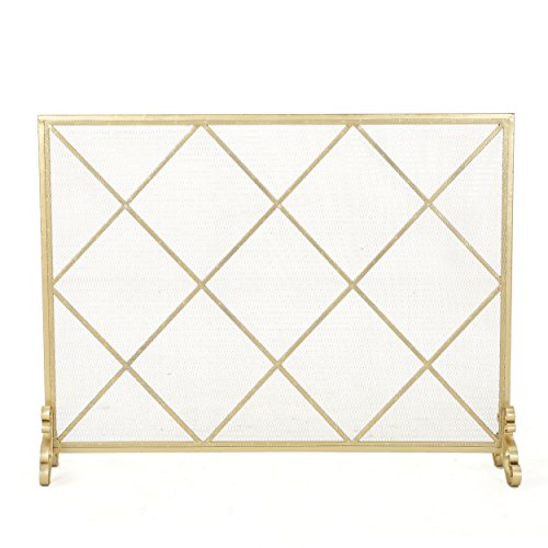Christopher Knight Home Hayden Single Panel Gold Iron Fire Screen