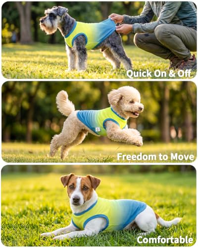 Image of CuteBone Ombre Dog Tank Top for Small Dogs, Cats - Tropical Summer Pet Vest - Breathable Ice Silk Cooling Shirt - Sun Protection, Photo, Casual Play, Walks