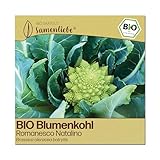 Samenliebe BIO Samen alte Sorte Romanesco Natalino milder zarter italienischer Blumenkohl