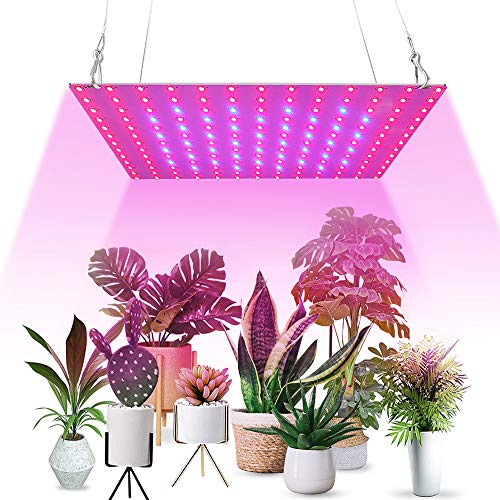 LED Grow Light,Plant Grow Lights for Indoor Plants Full Spectrum Panel Grow Lamps with 169 Pcs Red & Blue LEDs, Grow Lights for Seed Starting Veg and Flower and Succulent (45W)