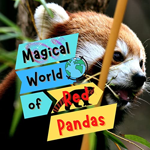 Magical World of Red Pandas: Fun Facts About Animals and Creatures