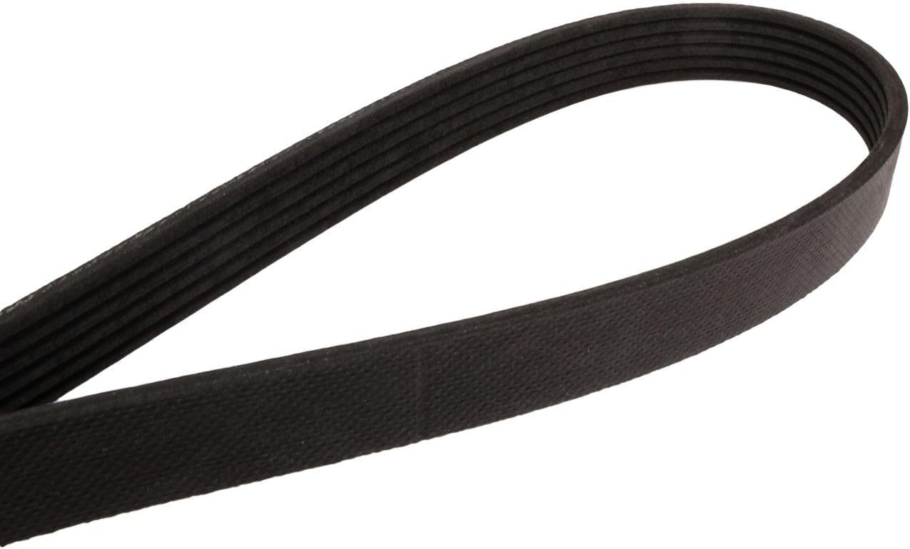 Continental 6PK2449 Metric Multi V-Belt