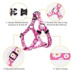 QQPETS Dog Harness Leash Set Adjustable Heavy Duty No Pull Halter Harnesses for Small Medium Large Breed Dogs Back Clip Anti-Twist Perfect for Walking (XS(12"-18" Chest Girth), Daisy) - Image 2