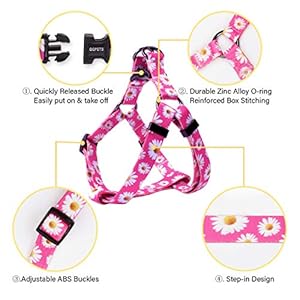 QQPETS Dog Harness Leash Set Adjustable Heavy Duty No Pull Halter Harnesses for Small Medium Large Breed Dogs Back Clip Anti-Twist Perfect for Walking (XS(12"-18" Chest Girth), Daisy) QQPETS Dog Harness Leash Set Adjustable Heavy Duty No Pull Halter Harnesses for Small Medium Large Breed Dogs Back Clip Anti Twist Perfect for Walking XS12 18 Chest Girth Daisy
