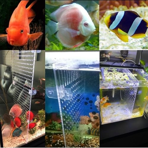 Aquarium Trennwand Aquarium Tank Trennung Brett Aquarium Isolation Acryl Gitter Fisch Tank Isolation Divider Fischseparator Transparente Platte mit Aquarium Divider Saugnap für Aquarium (30x25cm)