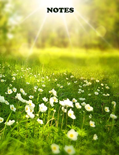 Notes: College Ruled Notebook | 120 Lined Pages | Large, 8.5 x 11 Inches | Journal, Diary, Subject Composition Book With A Vibrant Green Spring Meadow With Blooming Wildflowers Cover