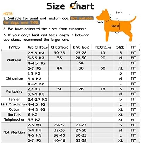 Varijacije boja i stila jakne za pse