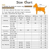 Hundejacke Hundemantel Wasserdicht Fleece gefüttert Warme Winterjacke Hunde Bekleidung für Winter Herbst