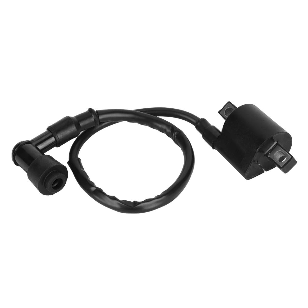 QAZAKY Bobine Compatibel met Kawasaki ATV KLT160 1985/KLT200 1981-1984/KLT250 1982-1985/KLF300 QAZAKY Bobine Compatibel met Kawasaki ATV KLT160 1985/KLT200 1981-1984/KLT250 1982-1985/KLF300
