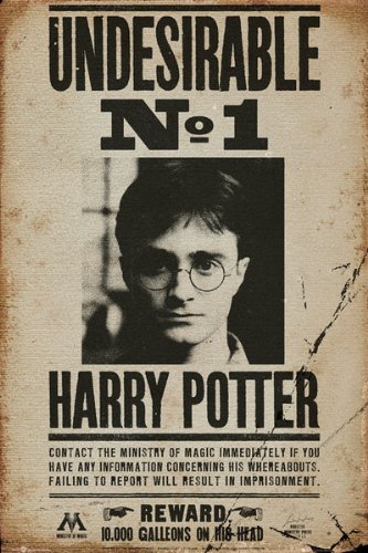 Have You Seen This Wizard Printable