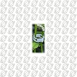 🍃 【Fácil de usar】fácil de instalar y quitar. Presione la pestaña de bloqueo. Son fáciles de instalar y volver a encender. Peso ligero, estructura simple y fácil de usar. Al injertar plantas, dos plantas se pueden unir fácilmente.