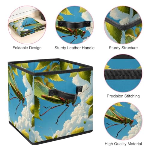 Boîte de rangement pliable pour étagères et dressing cricket mignon - 5