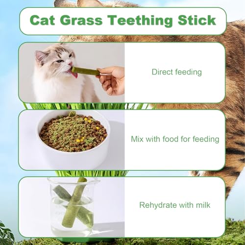 Katzengras Sticks 40g Gefriergetrocknet Katzengras Snack Kätzchengras-Beißstäbchen Katzenminze Stick Kauspielzeug Katze Zur Zahnpflege Zahnreiniger Haarballenentfernun Steigerung Des Appetits
