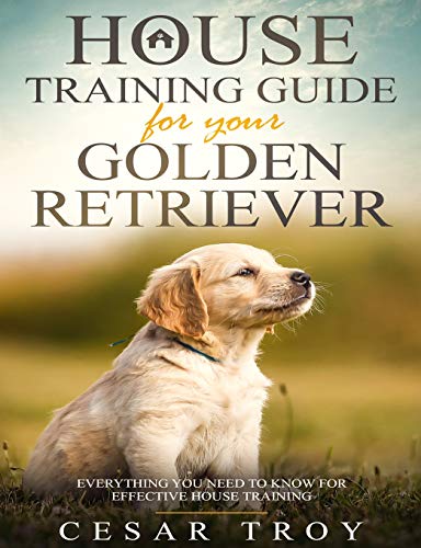 House Training Guide for Your Golder Retriever: Everything You Need