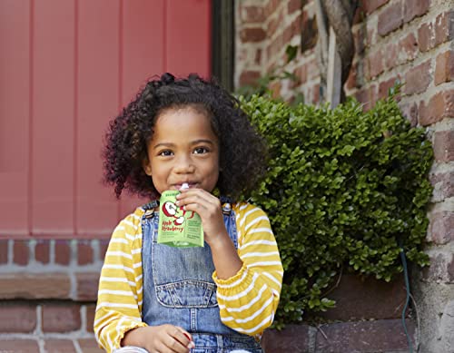 Brainiac Applesauce 2 Flavor Variety Pack Pouches With Omega-3S, Variety Pack With Apple And Apple Cinnamon Flavors, 40 Count, 3.2 Oz. – Unsweetened Applesauce #TOP6