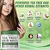 Bellisso-Tea-Tree-Oil-Hair-Mask-Products-for-Dry-Damaged-Hair-Deep-Conditioner-Treatment-Intense-Hydration-Care-and-Protein-Moisture-Repair-for-Women Tea Tree Oil Hair Mask - Deep Conditioner Treatment for All Hair Types - Intense Hydration Care and Protein Moisture Repair for Women and Men