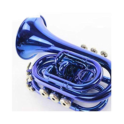 WYKDL Brass Bb Pocket Trumpet Tuner Case Mouthpiece More Trumpet Silver Plated Lacquered Gold Trumpet Instrument B Flat Beginner Test Professional Performance Color Blue