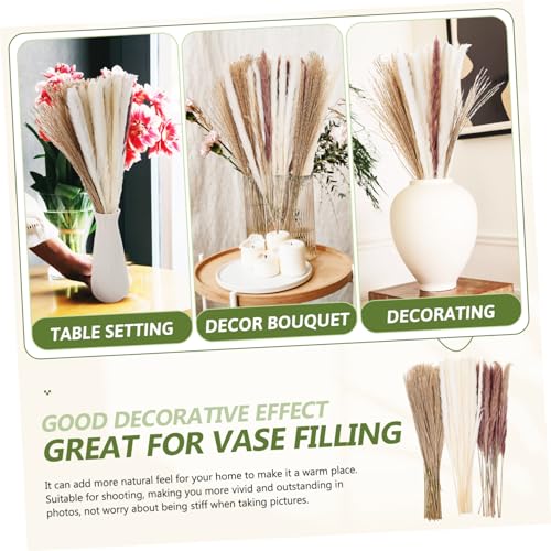 Ciieeo 180 Peças Flores De Junco Secas Arranjo De Junco Para Bricolage Cana Seca Adorna Decoração De