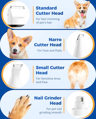 image for oneisall Paw Trimmer for Small Dogs Quiet, 4 in 1 Small Dog Grooming K