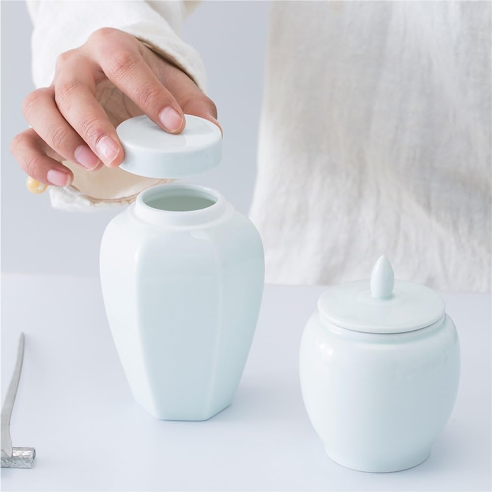 SDdPulse Tanque de almacenamiento de té, contenedor de almacenamiento de té de cerámica, tarro de almacenamiento de té para el hogar, tarro portátil de viaje, pequeño tarro sellado, juego de té, tarro