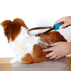 Dualsided Dog Shedding Blade Blade for Dog Grooming Blade for Thick Coats Type Dogs Shedding Brush with Stainless Steel Blade for Dogs Short and Long Hair  Cucciolini Doodles Dual sided dog shedding blade blade for dog grooming blade for thick coats type dogs shedding brush with stainless steel blade for dogs short and long hair   cucciolini doodles