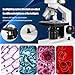 Compound trinocular Microscope, 40X-5000X Magnification, Digital Laboratory trinocular Compound LED Microscope with USB Camera and Mechanical Stage, WF10x and WF20x eyepieces, Abbe Condenser…