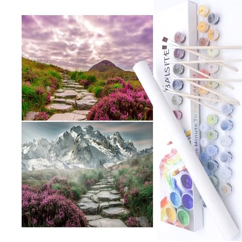 Peinture par numéros adulte débutant coffret cadeau BAISITE BAIPBN655-656 lot de 2 toiles