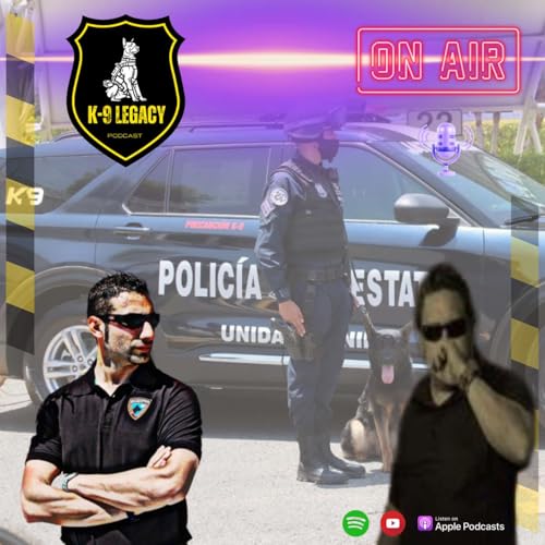 Desafios de el adiestramento canino: la actualidad de los perros y gu&igrave;as