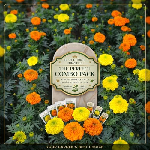Image of Marigold Flower Seed | 6 Varieties | 50+ Seeds Each Variety | All Season | Flower Seed | Great Germination Rate | Pack of 6 | 300+ Seeds | Combo Pack |